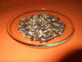 Ostropestřec mariánský (Silybum marianum), semena 100g